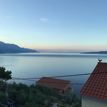Hostel Dalmatia Marusici  Екстериор снимка