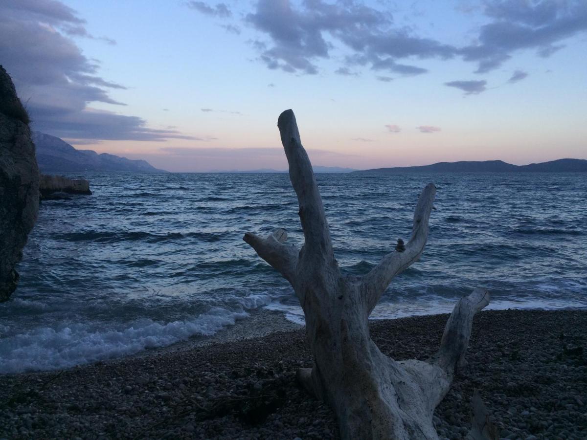 Hostel Dalmatia Marusici  Екстериор снимка
