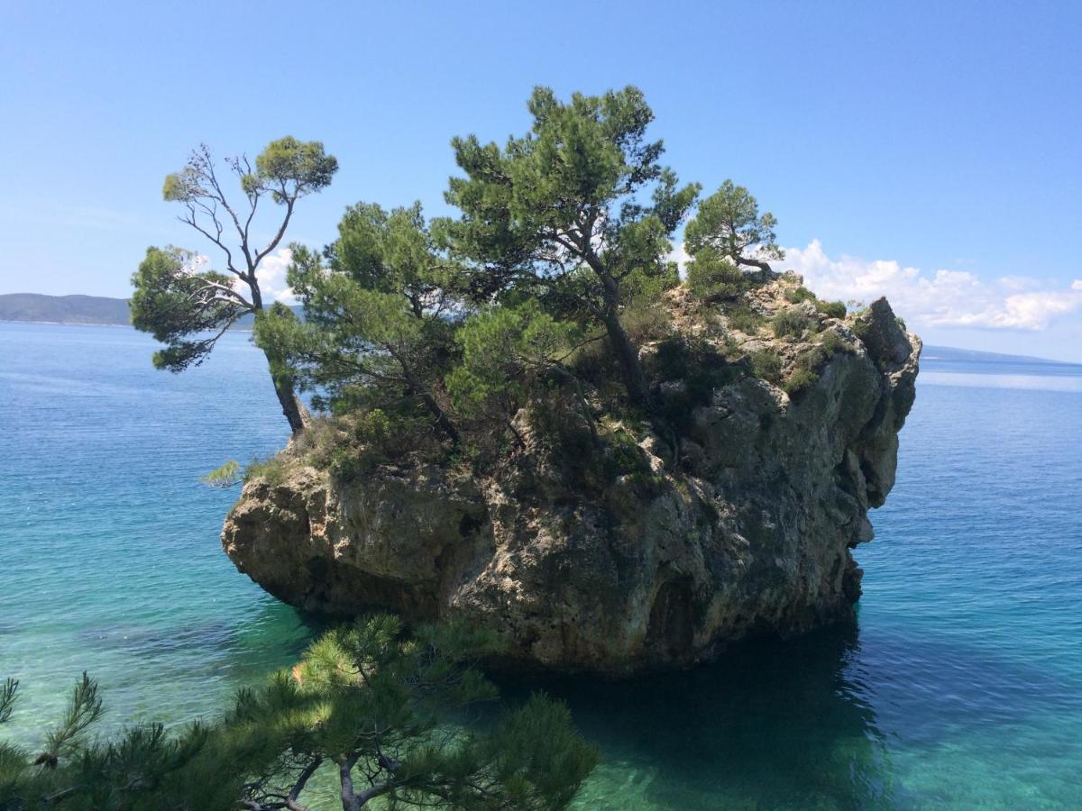 Hostel Dalmatia Marusici  Екстериор снимка