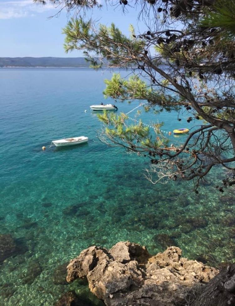 Hostel Dalmatia Marusici  Екстериор снимка